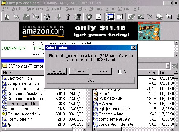 Capture d'écran dans Cuteftp